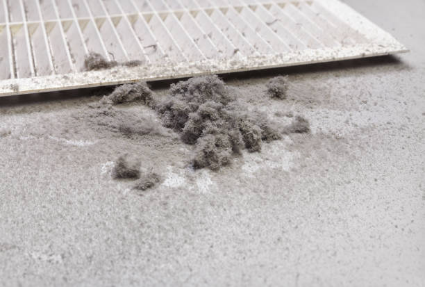 Best Residential Air Duct Cleaning  in Limesa, CA