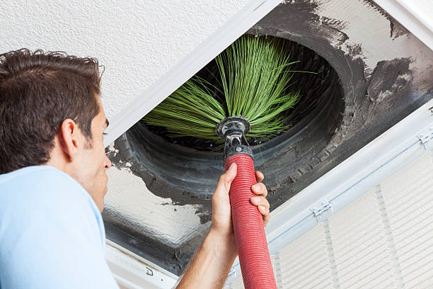 Best Air Duct Cleaning Near Me  in Limesa, CA