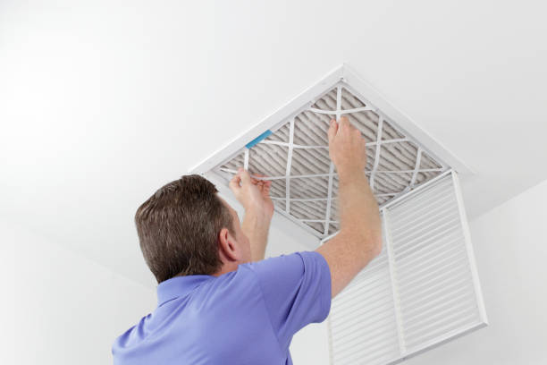 Best Air Duct Cleaning Company Near Me  in Limesa, CA